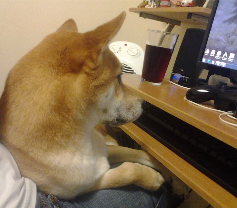 爱游戏下载-赛道智商碾压，塞恩斯如何将平庸哈斯变成索伯屠夫？