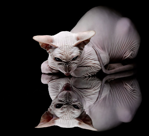 冷热交锋，雷诺战术险棋制胜，勒克莱尔孤影领跑却失王座