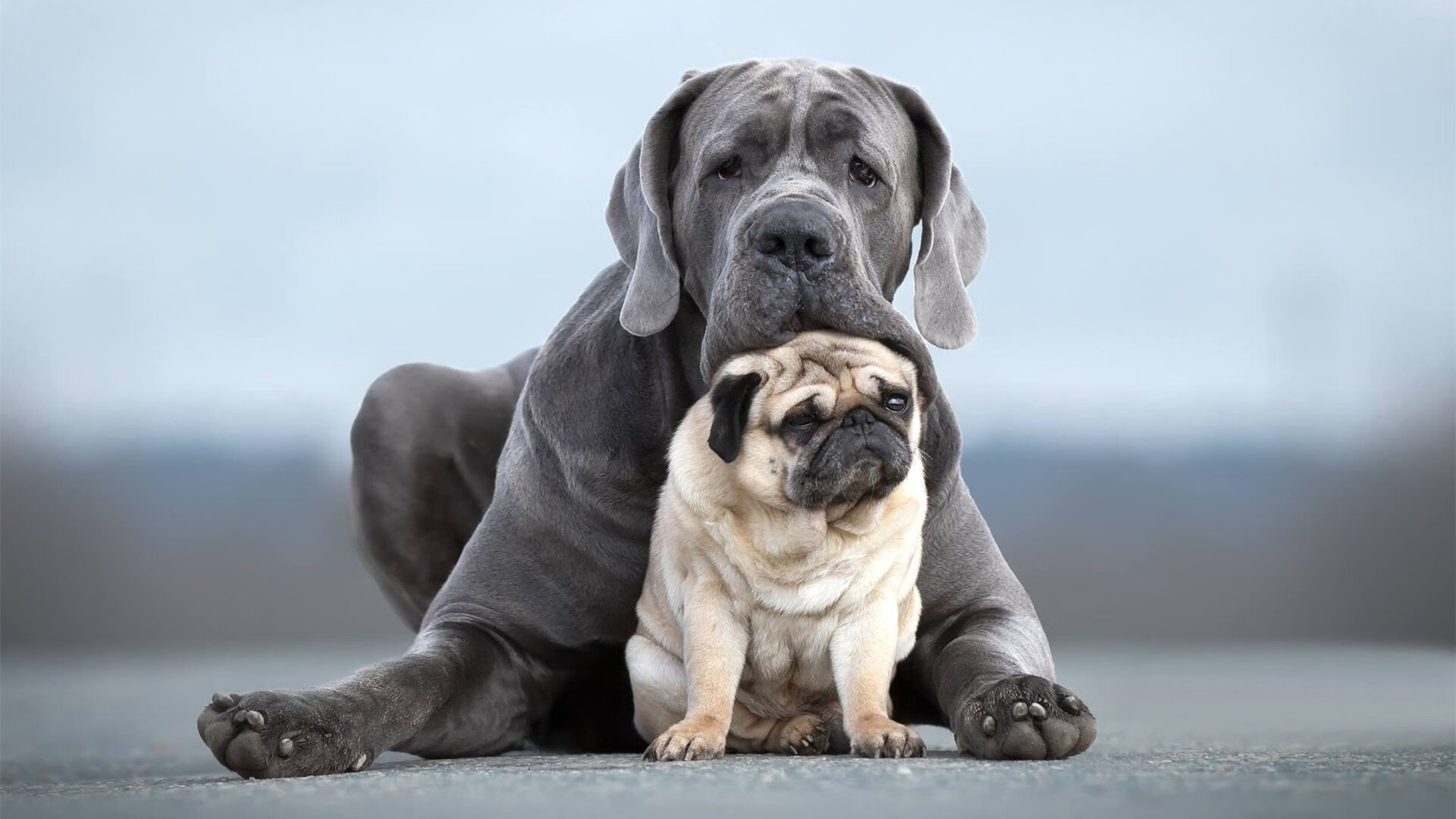 基米希统治中场风暴，中东绿鹰险胜安第斯雄鹰—一场平行时空的足球史诗