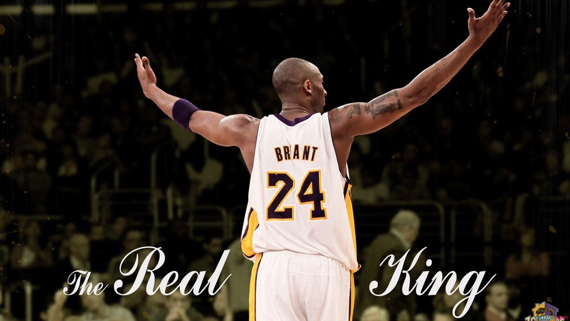 季后赛抢七之夜，阿劳霍，那个勒住命运咽喉的影子