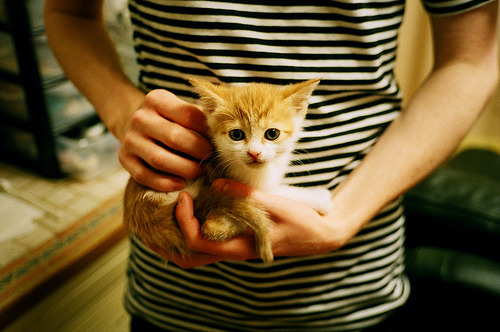 伦纳德的双面主宰，从丹佛高原到诺坎普星空