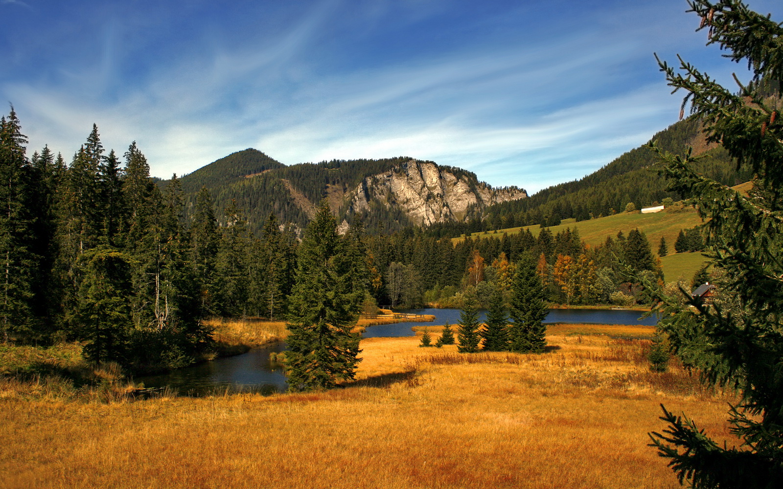 锡安狂轰40+10!活塞却用最锡安的方式赢下了比赛?