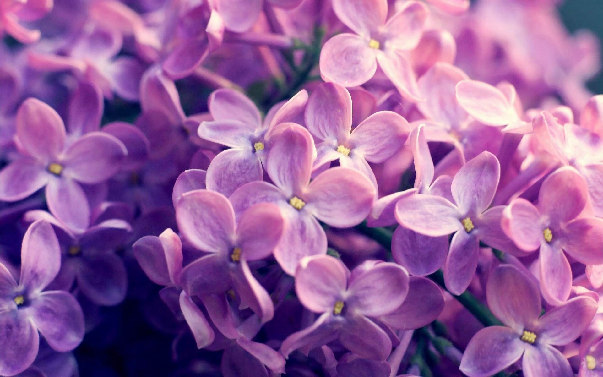 哈登末节接管比赛,开拓者集体压制公牛,两种胜利,一种篮球逻辑