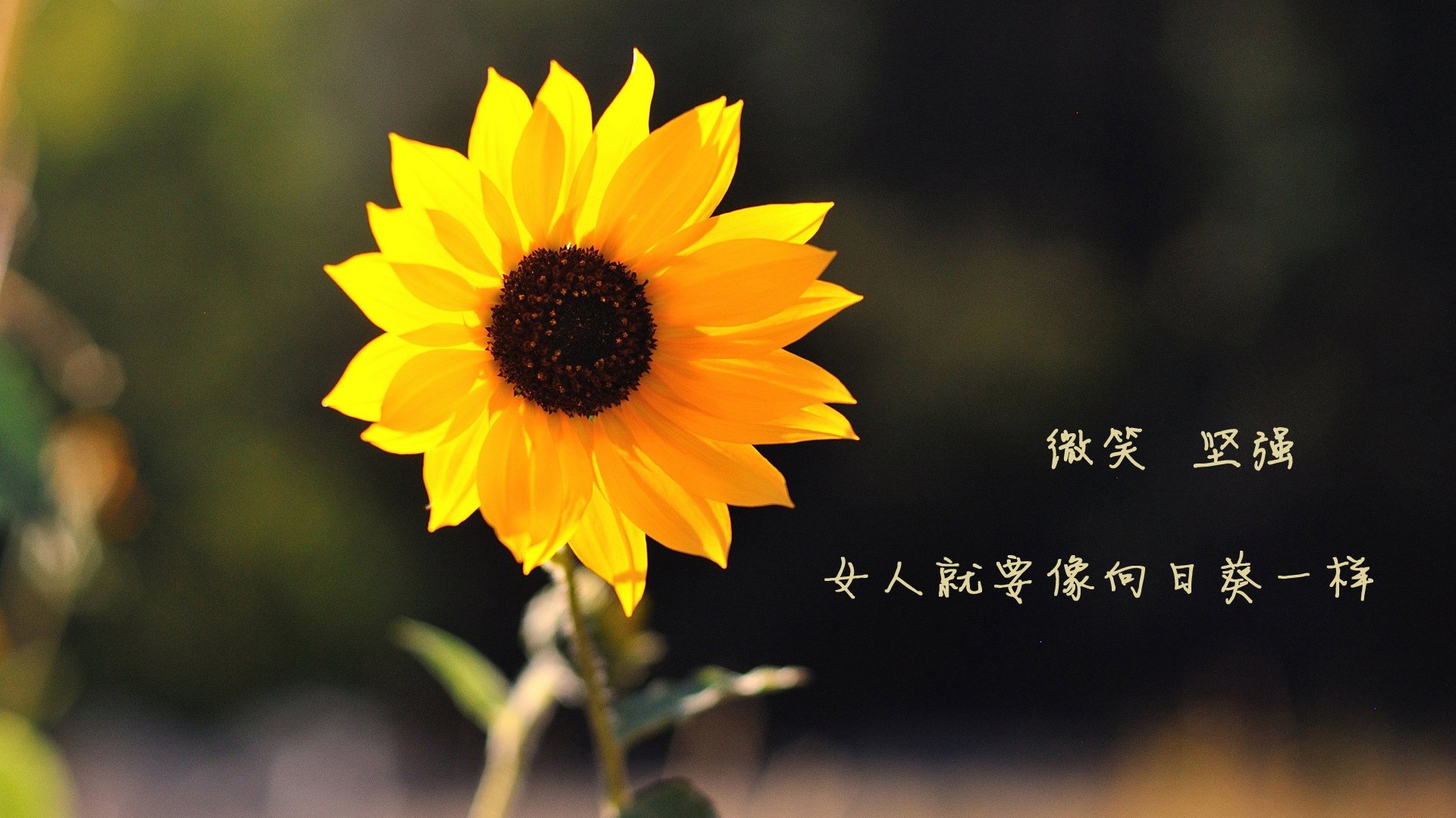 独舞于亚平宁，姆巴佩的秩序与尼斯的交响诗