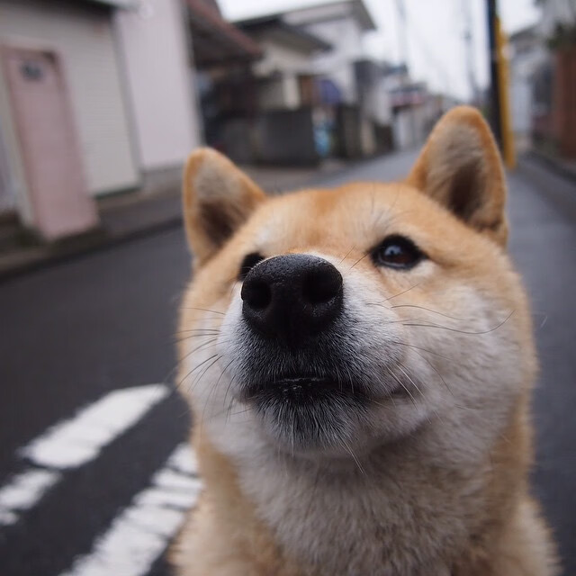 爱游戏体育-征途永无止境，当开拓者踏平火箭，布伦森以实力铸就新篇