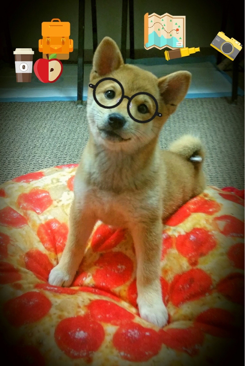 爱游戏大厅-骑士对吉林，赛场上的F1焦点战