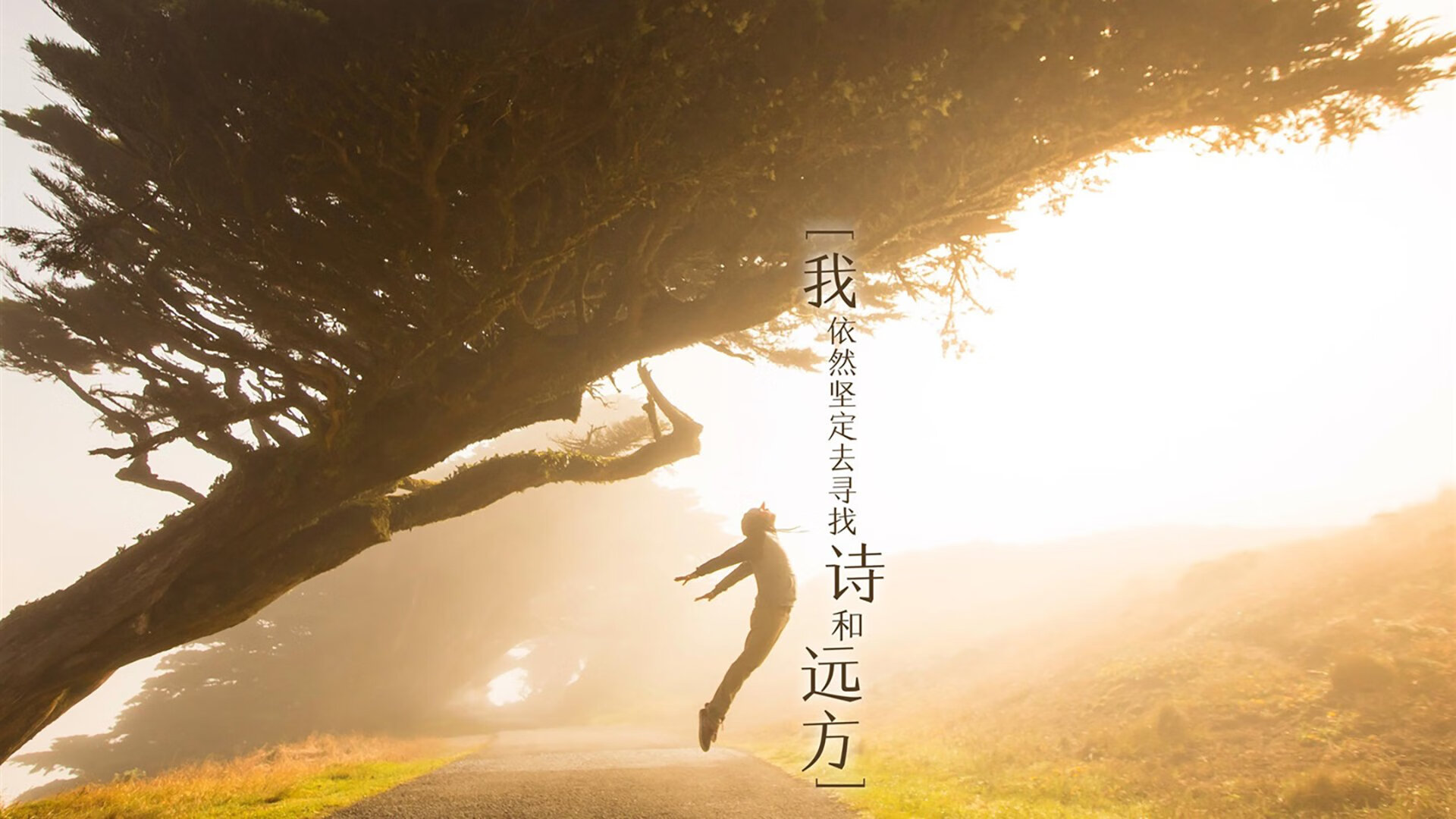 防守的两极,杰伦格林的火热爆发与步行者的冰封锁死