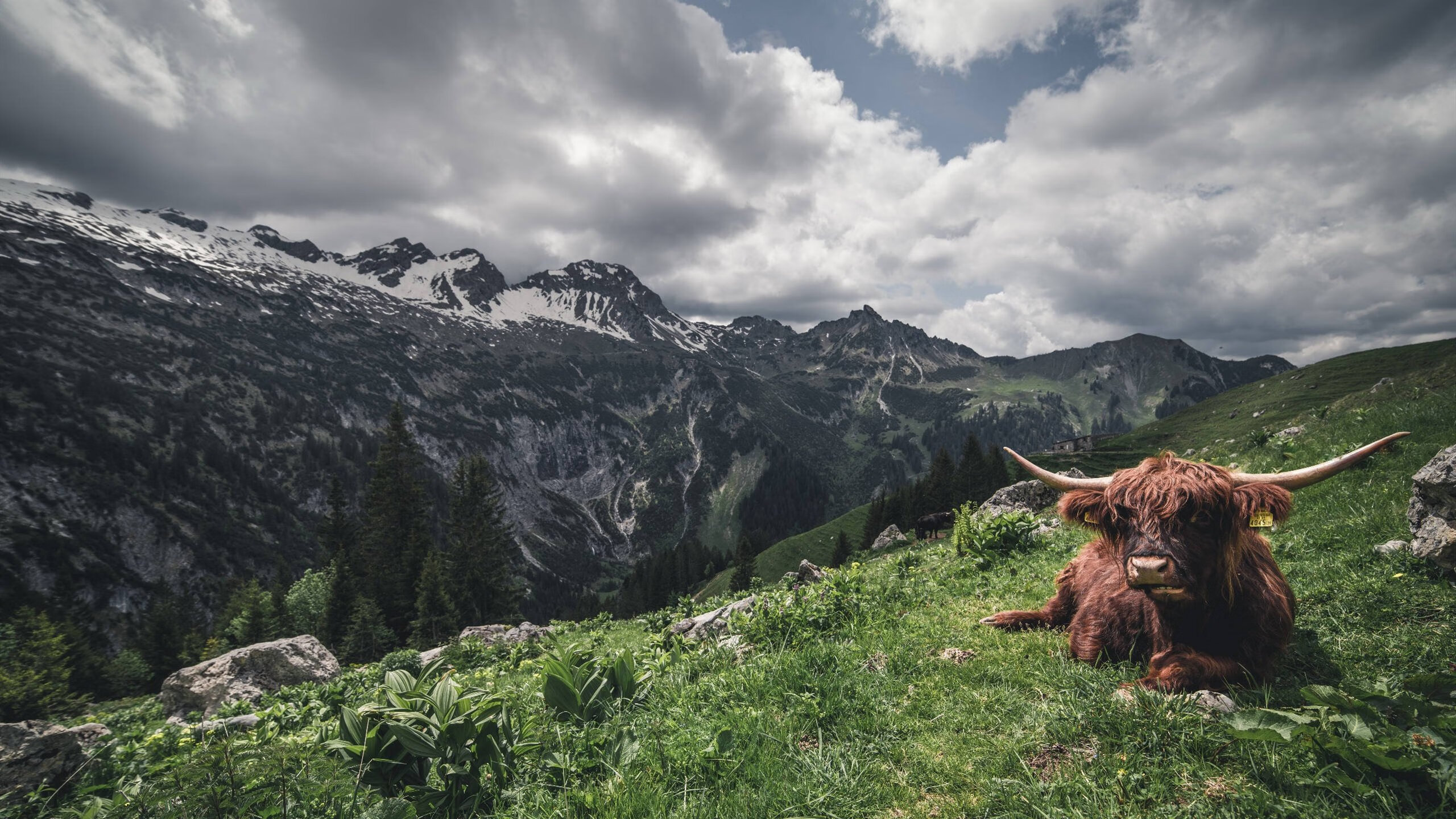 新秀陈厚羽封堵定乾坤！上海女排关键战带走浙江，奥运周期焦点战现黑马