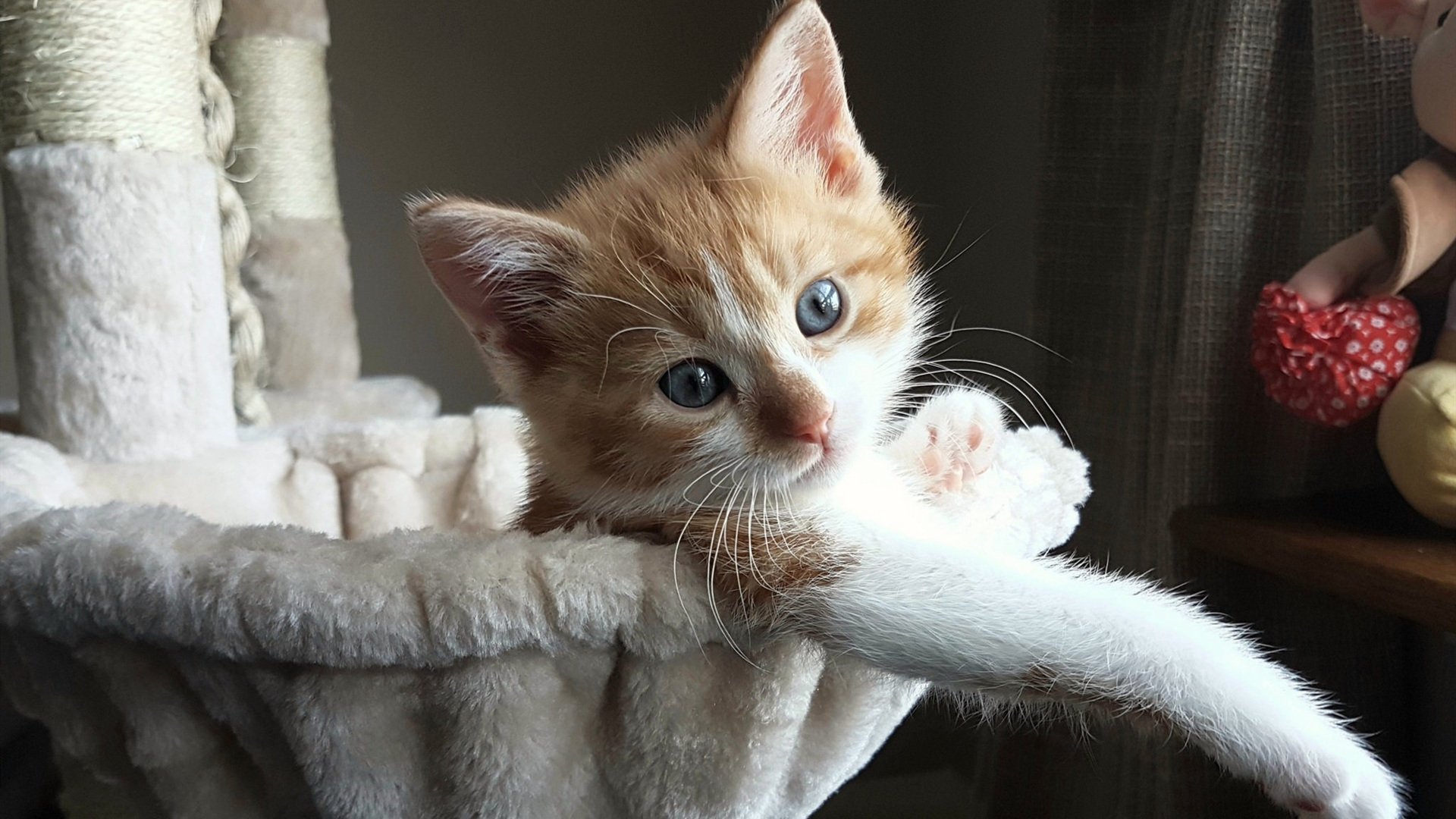 一锤定音！罗德里戈绝杀点燃梅阿查，国米拿下天王山