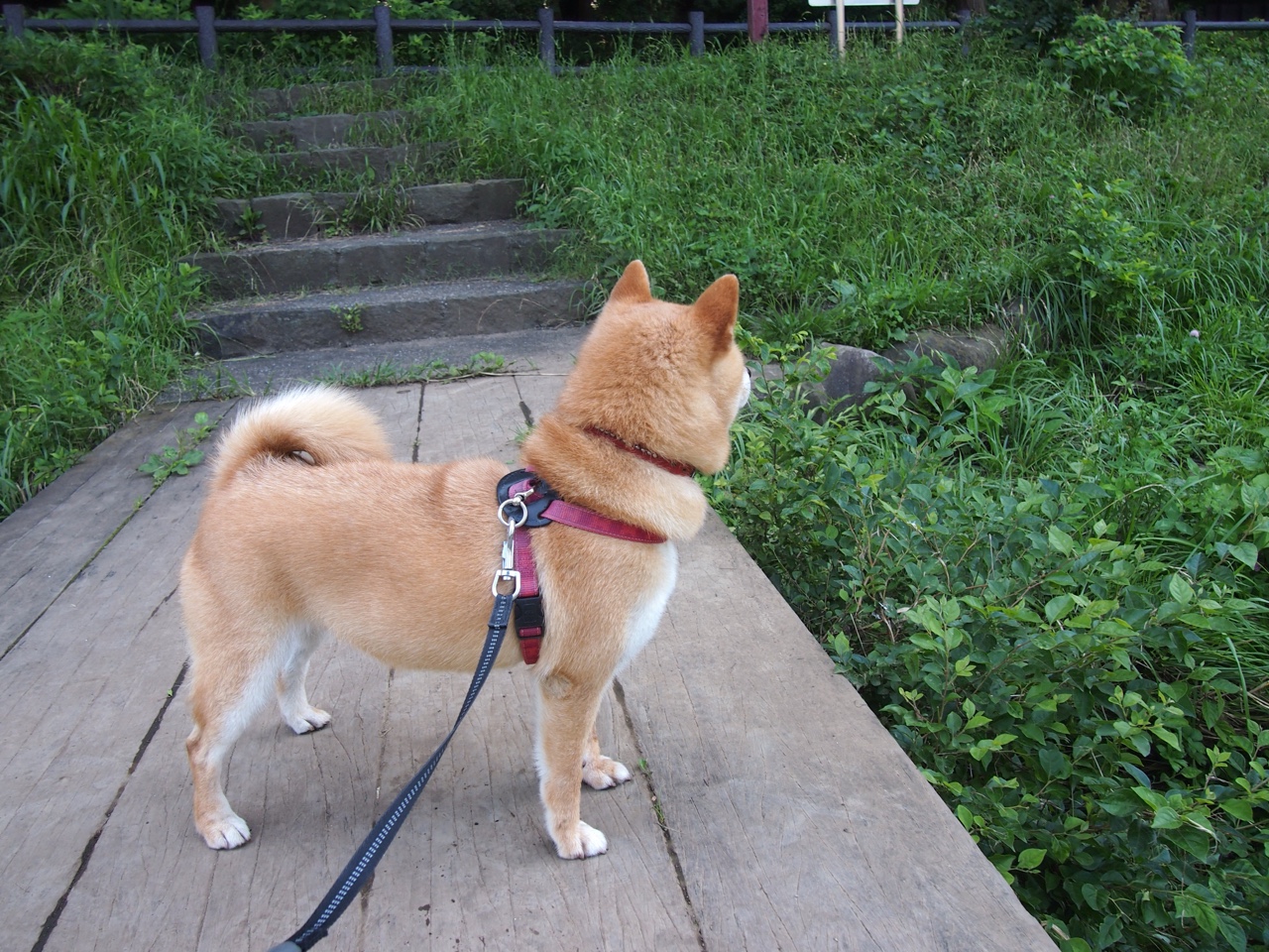 老人与海，但这次是阿圭罗