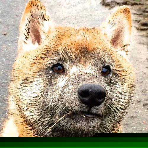 西甲国家德比之夜，阿尔瓦雷斯以一敌众的压制级表演