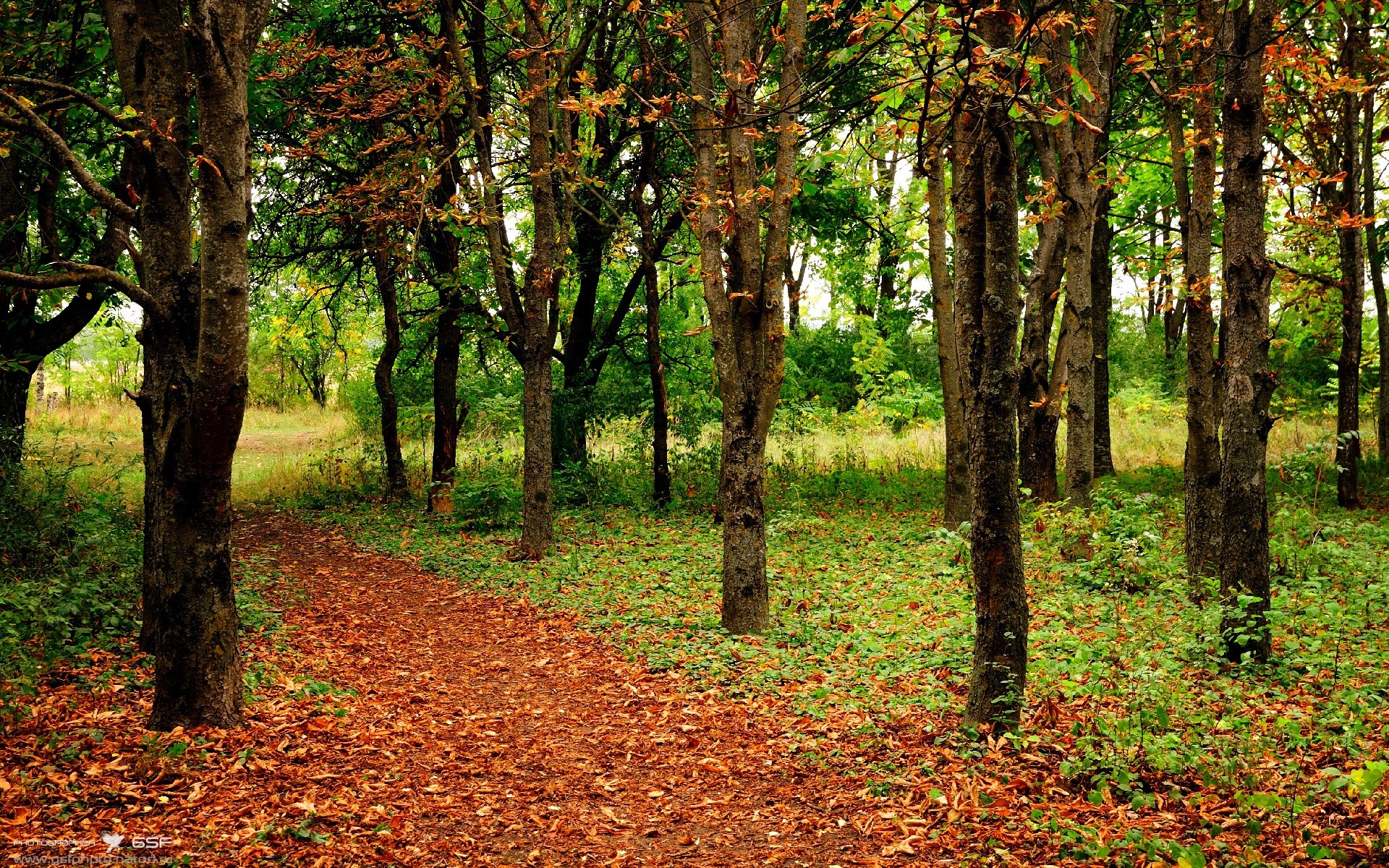 唯一性的交汇，西甲国家德比焦点战背景下，马里如何拿下阿尔及利亚的全球启示
