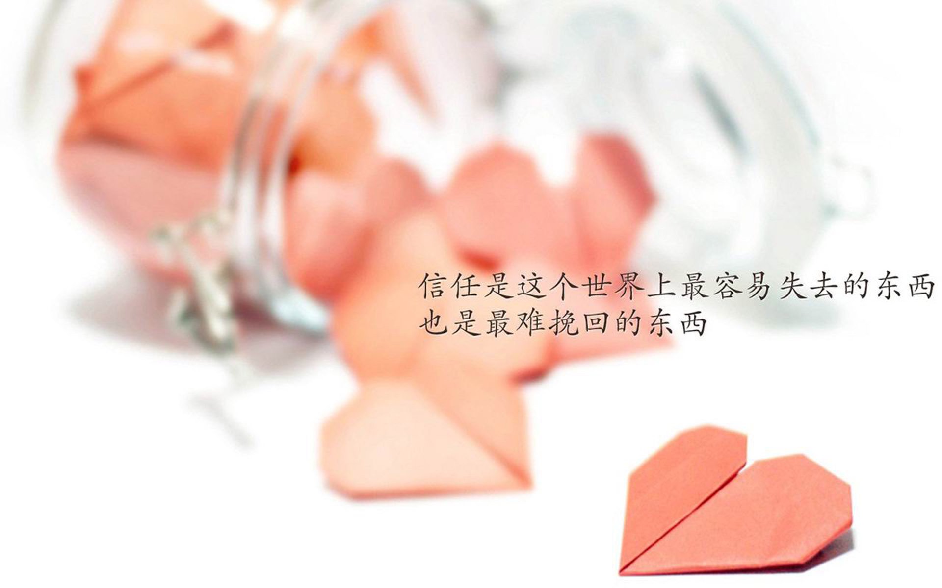 橙衣军团的叹息，当C罗在2026年D组战场化身厄瓜多尔第五根支柱