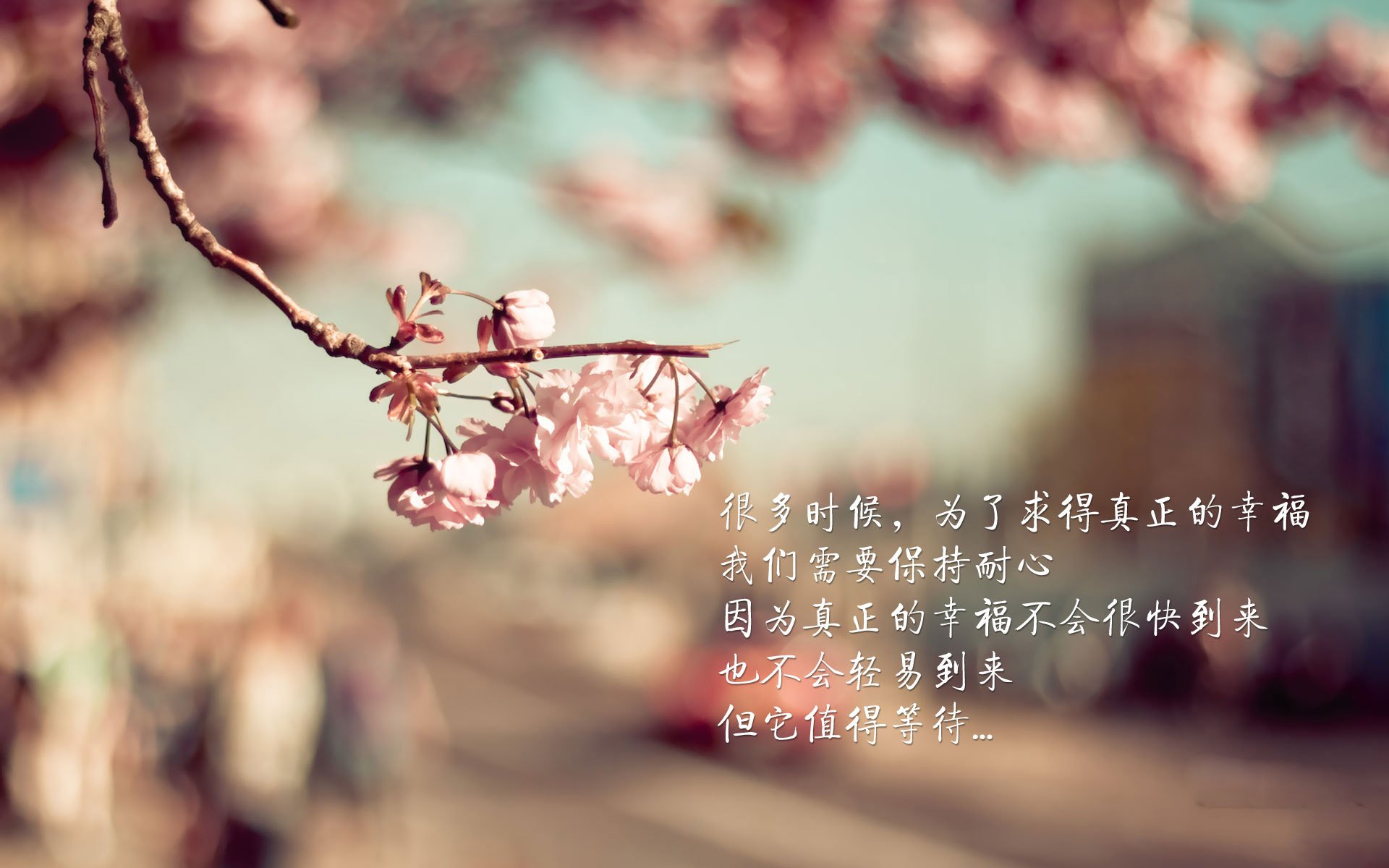 2026巅峰之夜，当德意志战车遇上斗牛士，孙兴慜铸就亚洲传奇