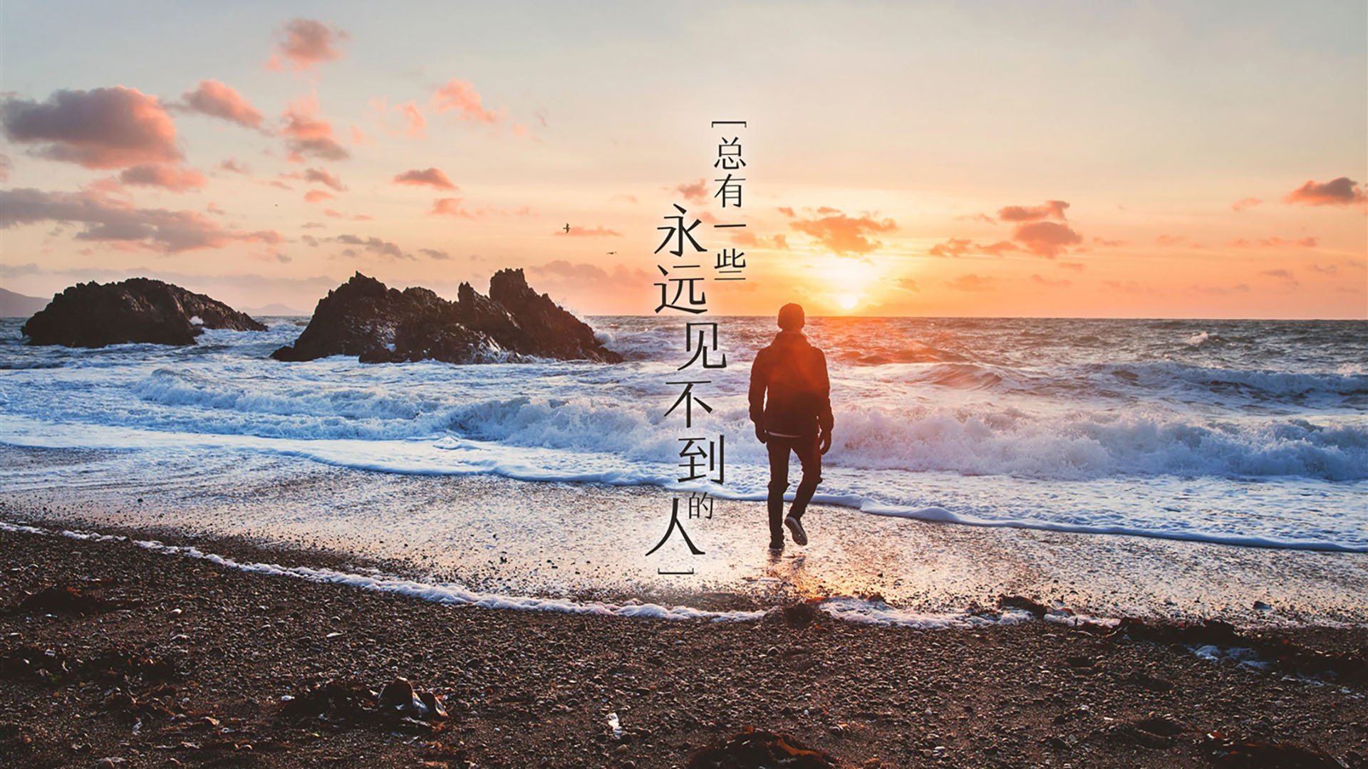 独步天下,哈基米导演美加墨世界杯焦点战,捷克碾压奥地利彰显唯一性