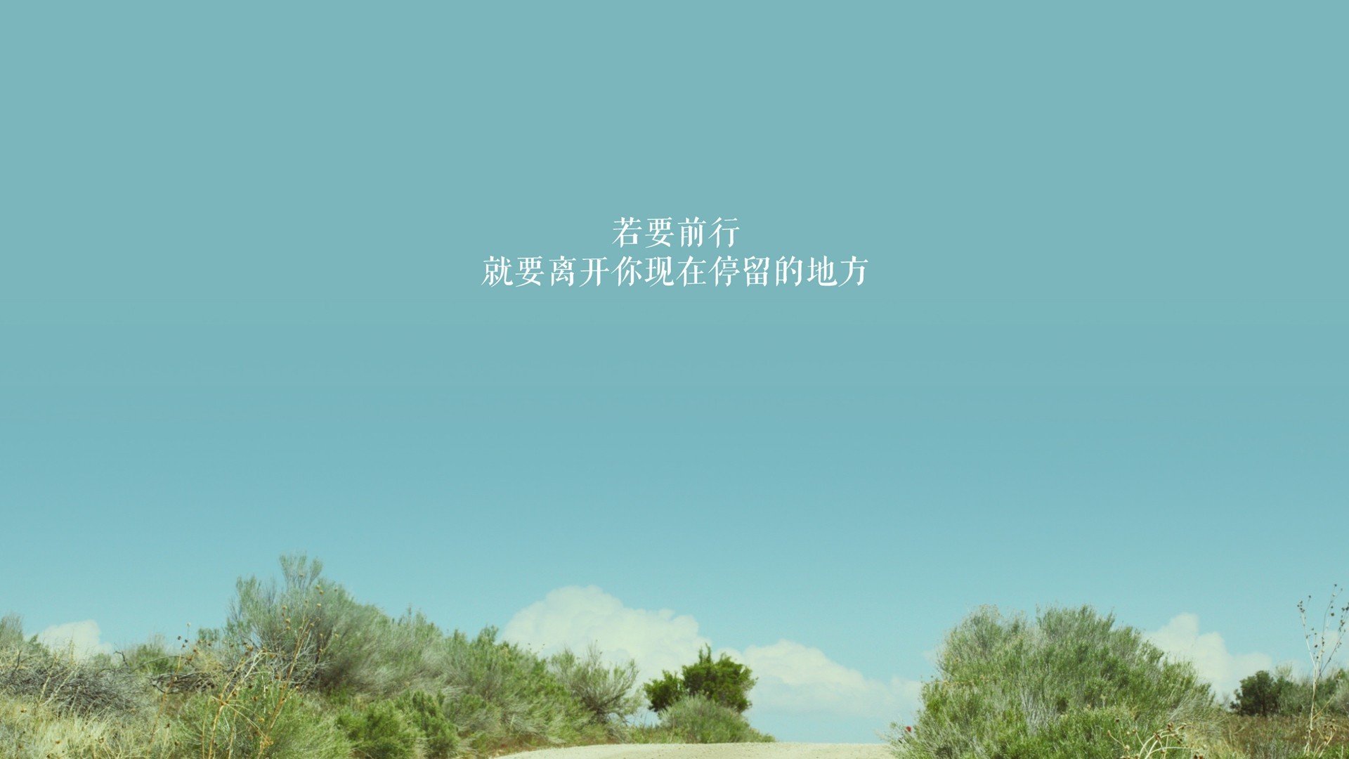 爱游戏在线-沙漠奇迹，当板球之国在足球圣殿写下唯一性的史诗