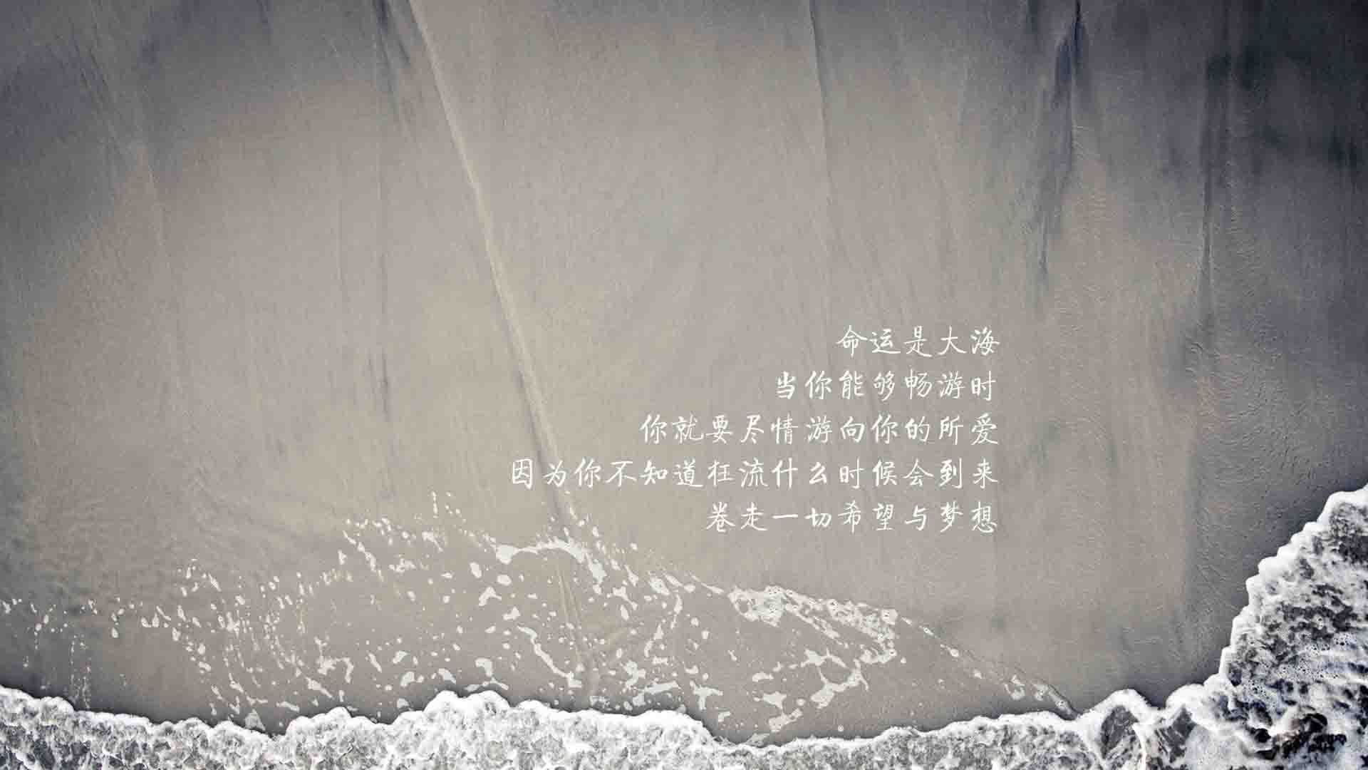 蓝黄风暴下的死局，布罗佐维奇影子大师级表演，厄瓜多尔如何用高度与硬度碾碎罗马尼亚的2026世界杯之梦