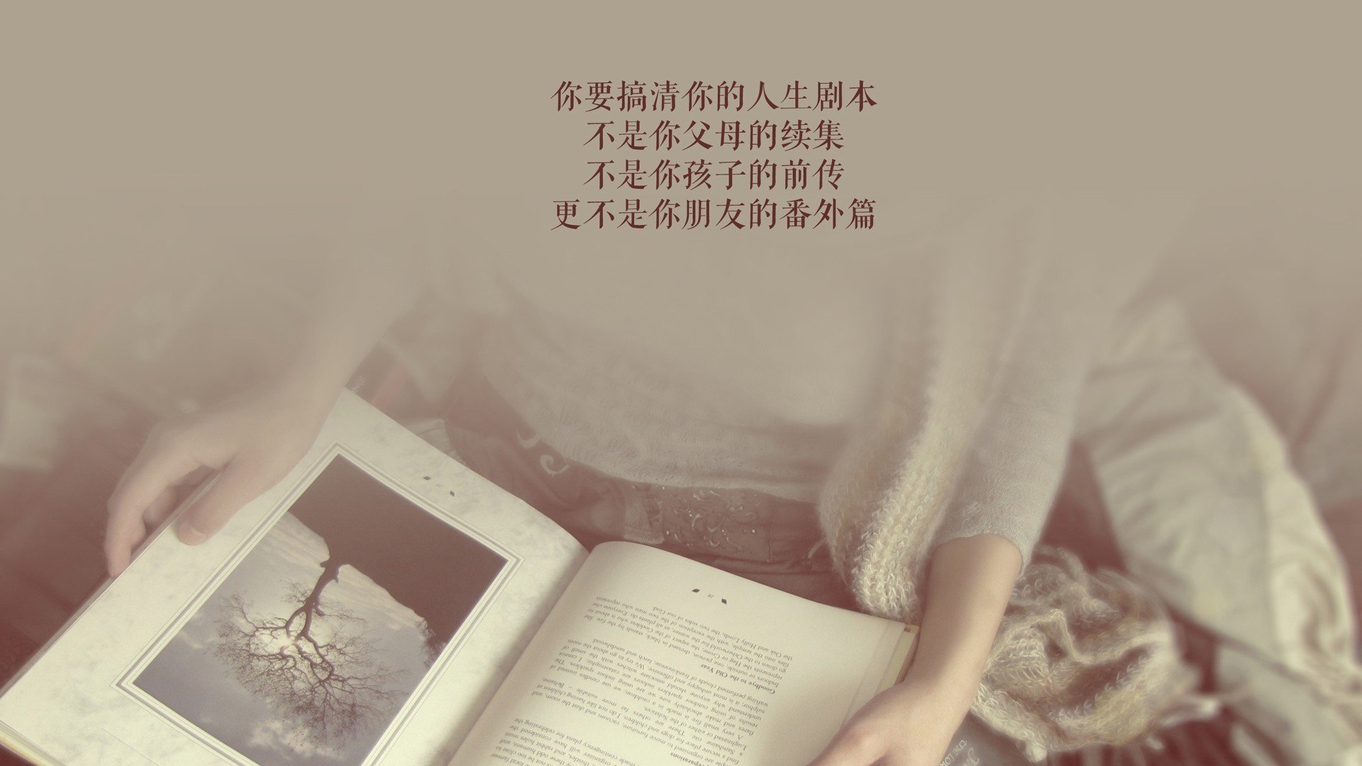 里斯本之夜，当航海图被重新绘制—2026世界杯四分之一决赛，葡萄牙用萨卡之矛刺穿澳大利亚的钢铁防线